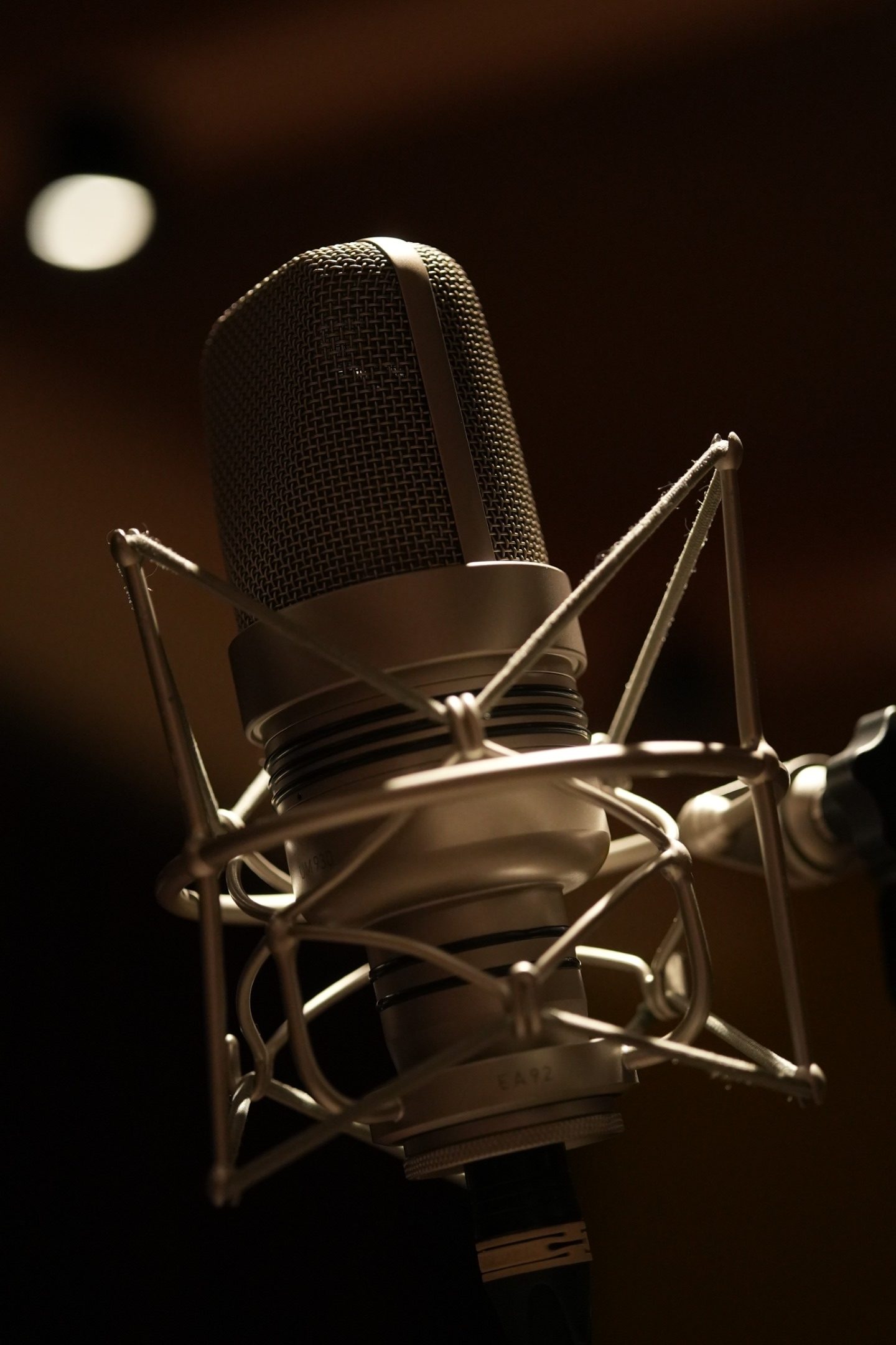 Gefell UM930 Microphone