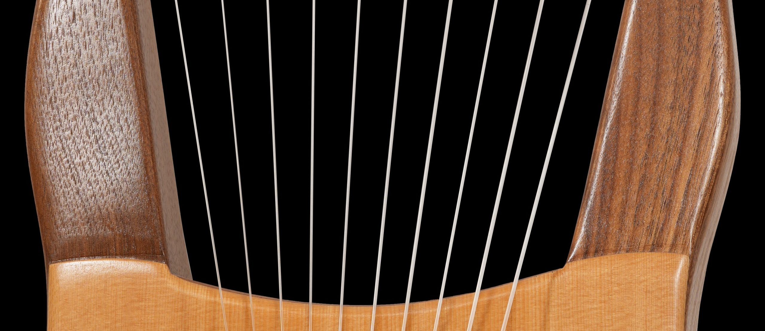 Detail crop lyre photo to left Detail crop lyre photo to left