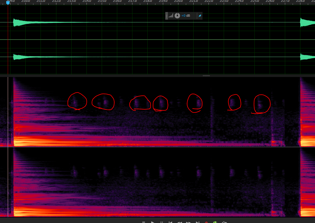 Get these birds out of my harpsichord (samples)! Get these birds out of my harpsichord (samples)!