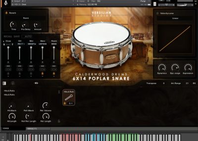 Poplar Snare UI