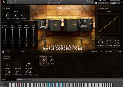 Concert Toms UI