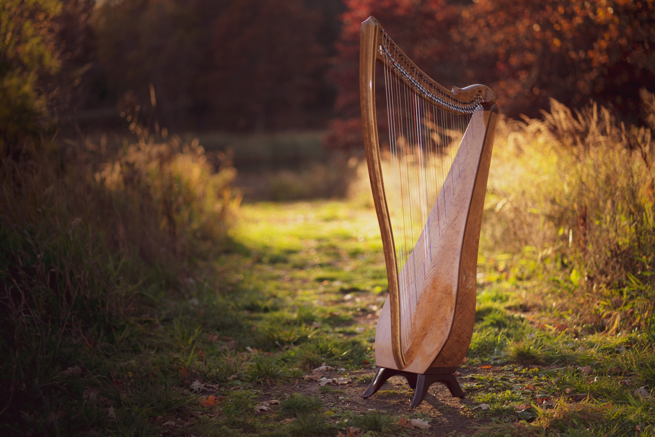 Musicmakers - Epic Harp